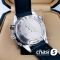 Часы Omega Seamaster Planet Ocean 007 (20162) Часы Omega Seamaster Planet Ocean 007 (20162)