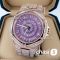 Часы Michael Kors MK6992 (21310)